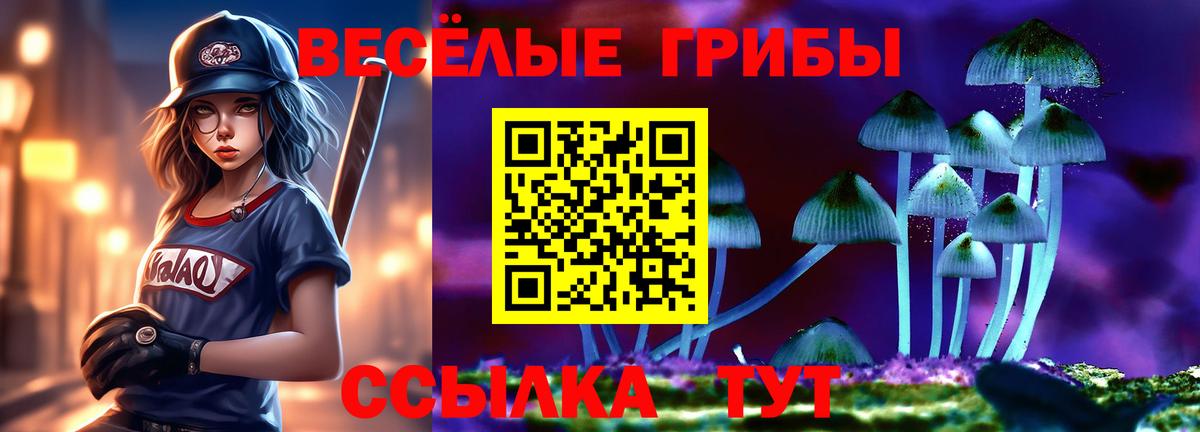 дарнет шоп  Вход с VPN  Псилоцибиновые грибы мицелий  Каменка  Псилоцибиновые грибы ЛСД 